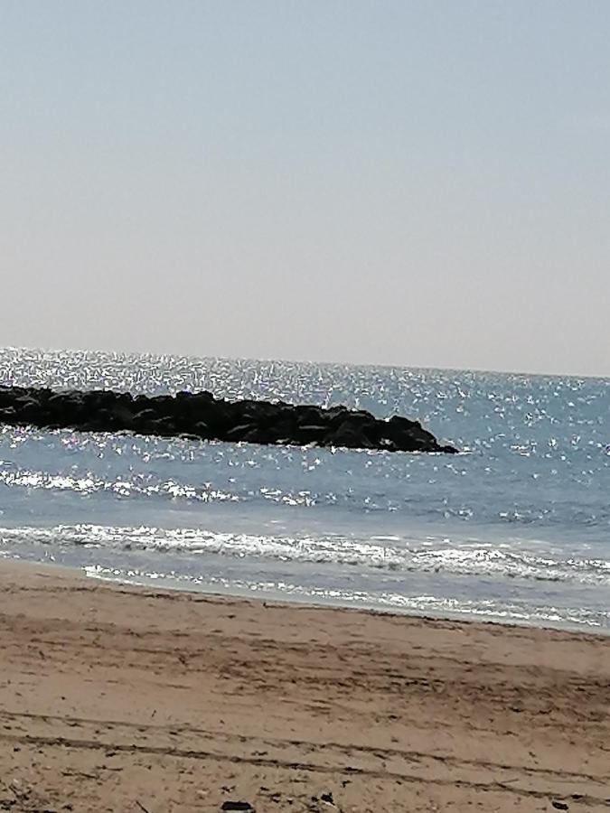 Studio Cabine Valras Plage 300M De La Mer Экстерьер фото